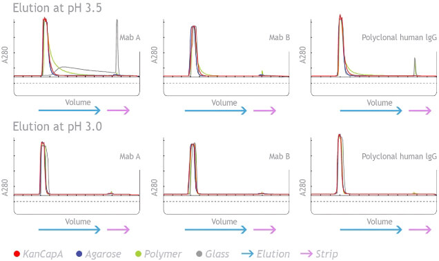 protein A affinity purification resin elution profile