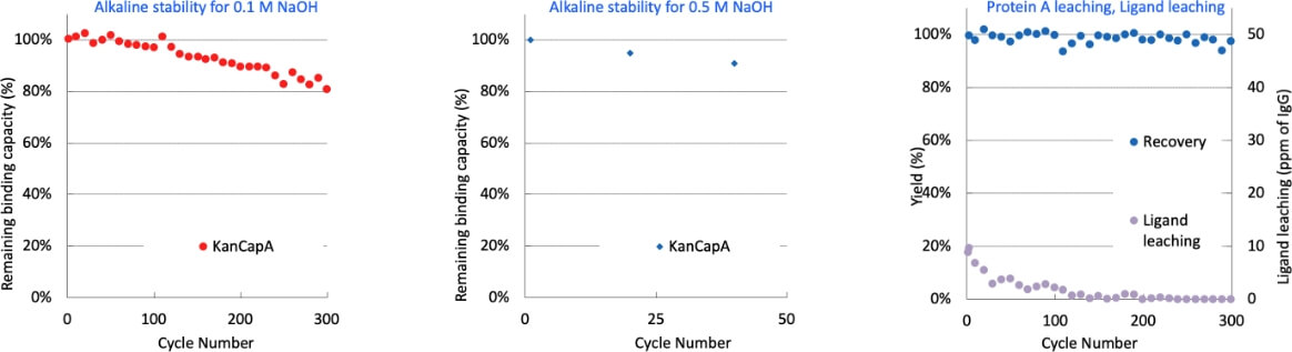 protein A affinity purification resin yield over runs